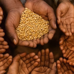 food insecurity