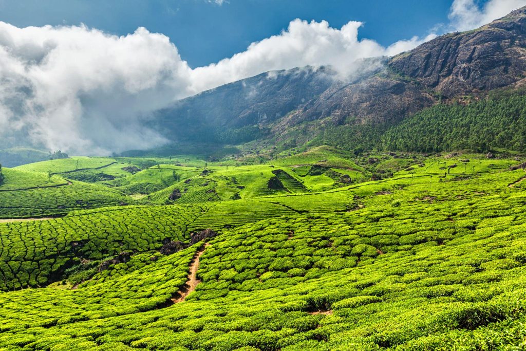 munnar