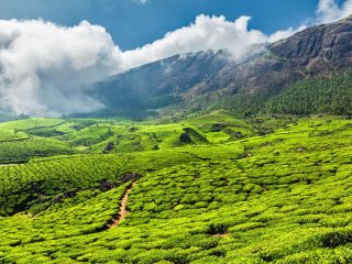 munnar