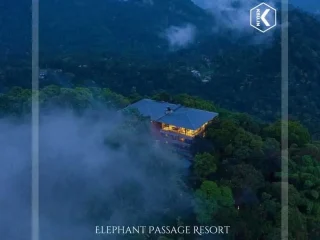 elephant passage resort munnar 12